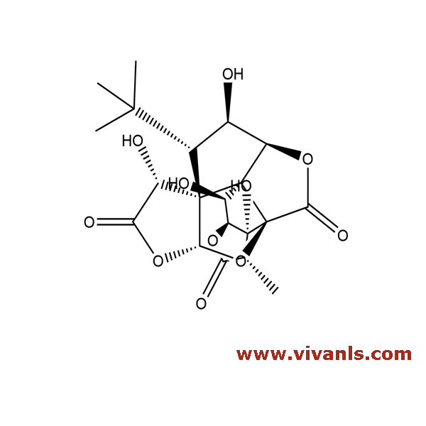 Metabolites-Ginkgolide C-1659332921.png